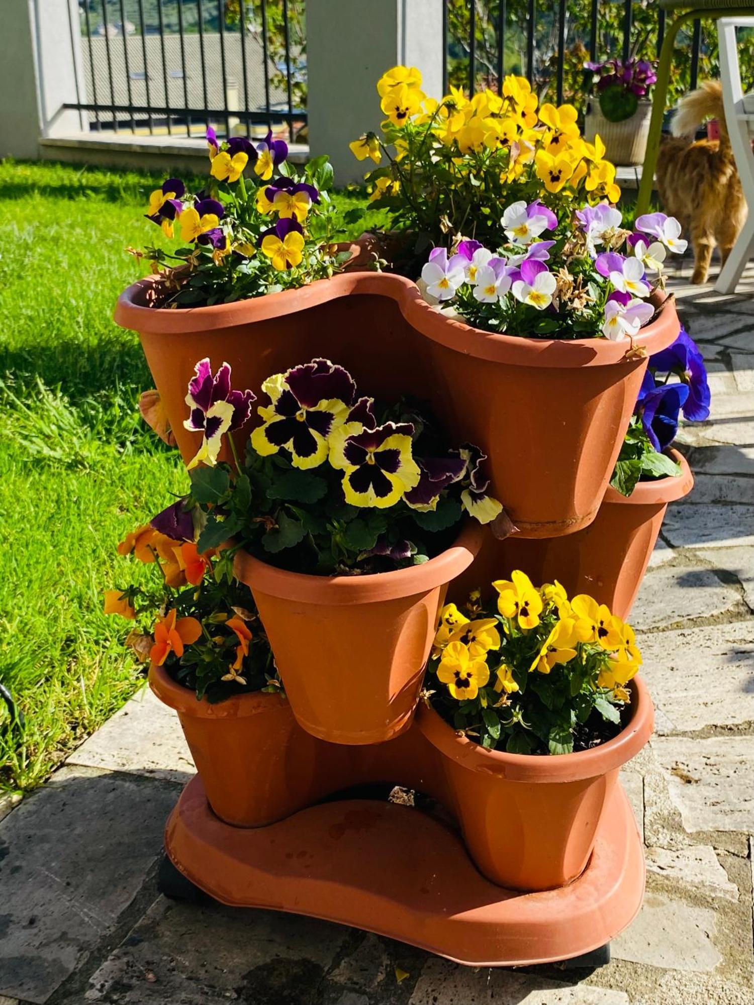 Dimora Il Campanile Bed & Breakfast Chieti Exterior photo